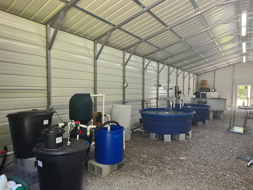 Students testing water