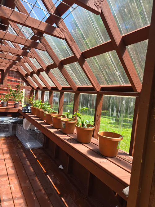 Students testing water